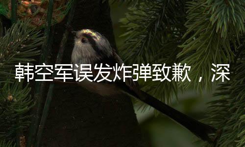 韩空军误发炸弹致歉，深刻反省提升军事安全