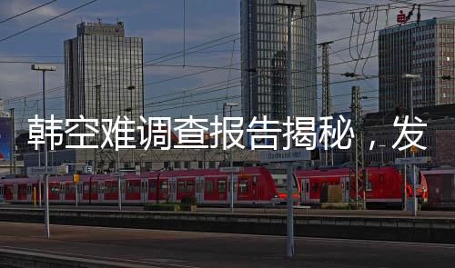 韩空难调查报告揭秘，发动机吸入花脸鸭事件全程解析