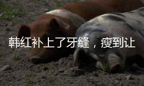 韩红补上了牙缝，瘦到让人认不出——探索韩红形象变化的背后故事