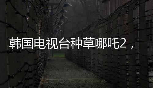 韩国电视台种草哪吒2，中韩文化交流的新里程碑