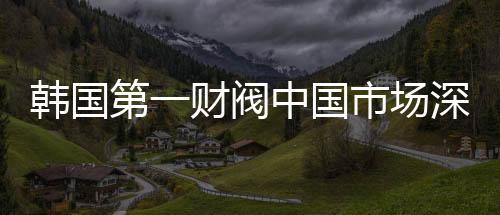 韩国第一财阀中国市场深度拜访，全球战略新动向背后的商业逻辑