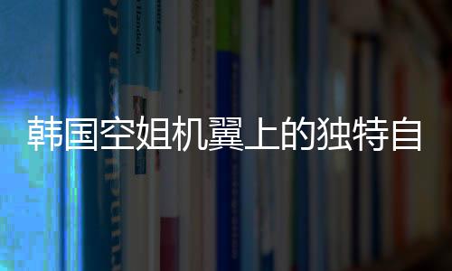 韩国空姐机翼上的独特自拍，职业与生活的独特交融