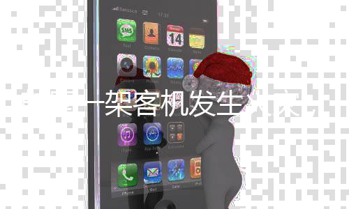 韩国一架客机发生火灾，紧急救援行动展开