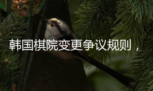 韩国棋院变更争议规则，中国棋协积极回应