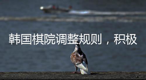韩国棋院调整规则，积极应对争议，决定取消引发争议的规则并通知中方做出改善的决定，寻求进一步的友好合作与交流
