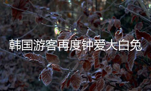 韩国游客再度钟爱大白兔奶糖，文化与美味的交织