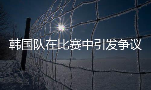 韩国队在比赛中引发争议，犯规行为及其影响