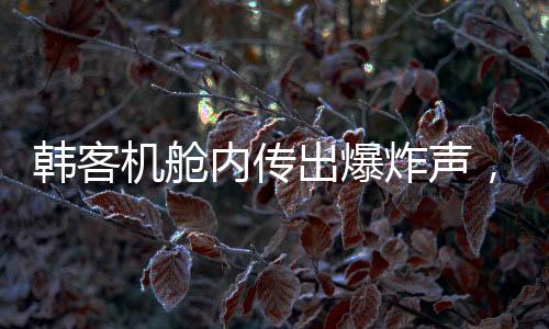 韩客机舱内传出爆炸声，机翼冒火紧急返航