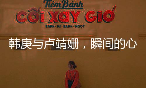 韩庚与卢靖姗，瞬间的心动——一见钟情