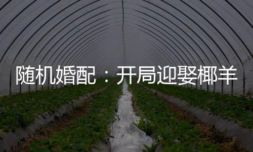 随机婚配：开局迎娶椰羊甘雨