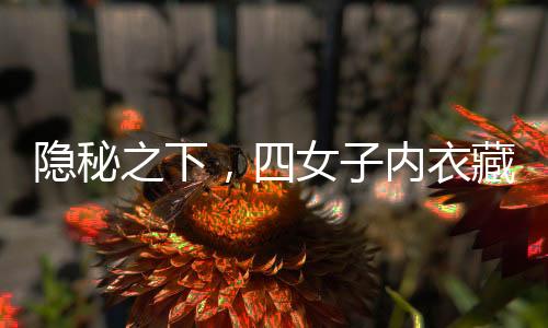 隐秘之下，四女子内衣藏匿黄金疑案