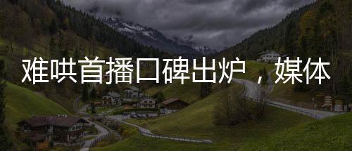 难哄首播口碑出炉，媒体与观众多维度深度解析