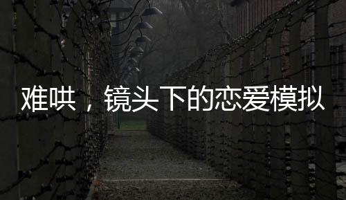 难哄，镜头下的恋爱模拟器，现实与虚拟的交织之旅