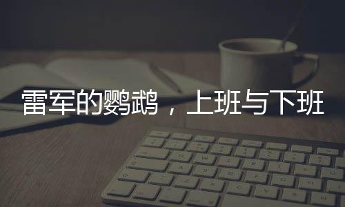 雷军的鹦鹉，上班与下班的神奇故事