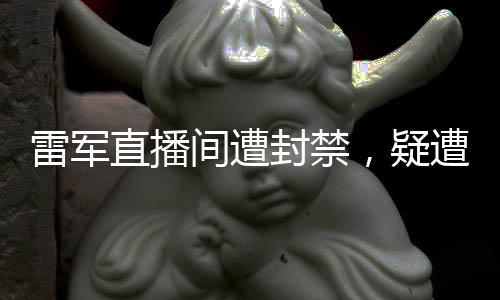 雷军直播间遭封禁，疑遭网友举报，引发关注热议