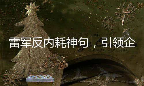 雷军反内耗神句，引领企业高效前行的新理念