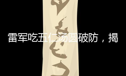 雷军吃五仁汤圆破防，揭秘背后的故事与情感共鸣