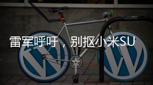 雷军呼吁，别抠小米SU7 Ultra镀金车标