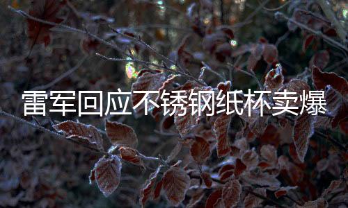 雷军回应不锈钢纸杯卖爆，背后的故事与启示