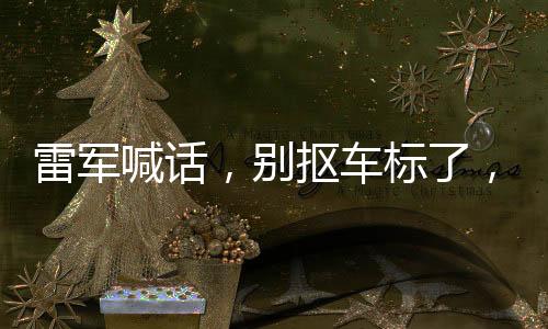 雷军喊话，别抠车标了，品质与品牌共铸未来