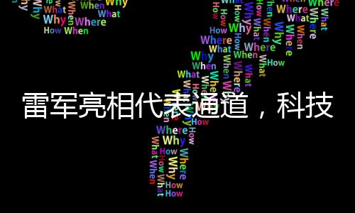 雷军亮相代表通道，科技巨头的新角色与未来展望