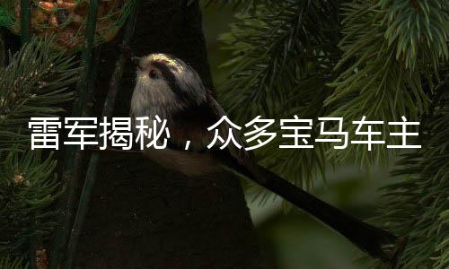 雷军揭秘，众多宝马车主转向小米，跨界融合引领智能生活新风尚