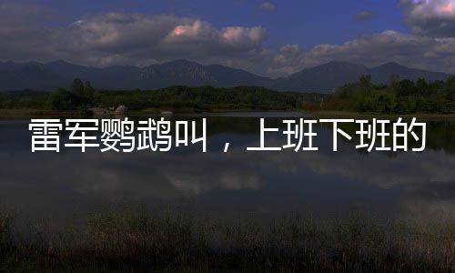雷军鹦鹉叫，上班下班的独特故事