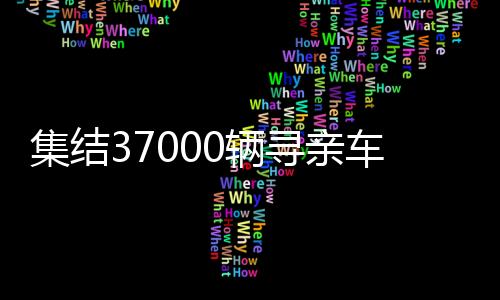 集结37000辆寻亲车，一场跨越全国的寻亲大行动