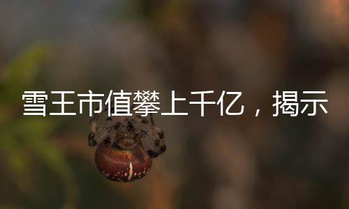 雪王市值攀上千亿，揭示成功背后的力量与未来展望