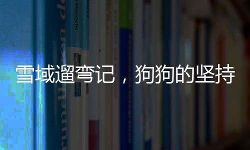 雪域遛弯记，狗狗的坚持与主人的温情