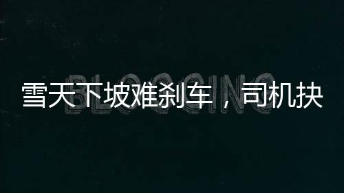 雪天下坡难刹车，司机抉择引关注，挑选便宜车辆是否明智之举？