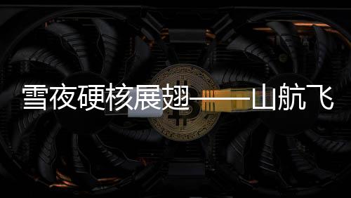 雪夜硬核展翅——山航飞机暴雪中起降的壮丽篇章