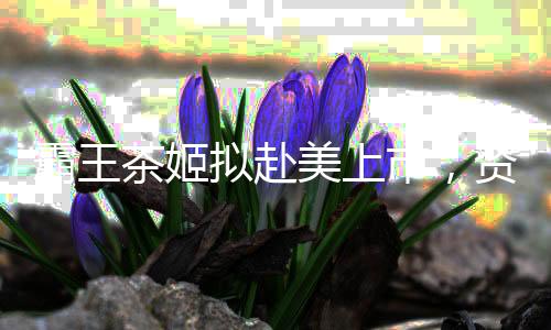 霸王茶姬拟赴美上市，资本市场瞩目茶饮品牌新动向