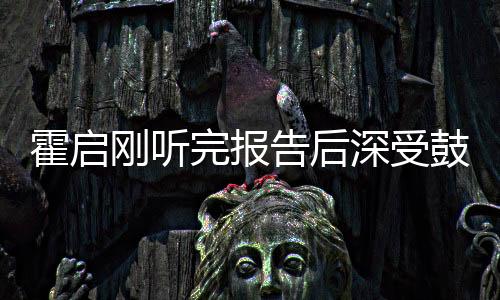 霍启刚听完报告后深受鼓舞，展现积极态度推动未来事业发展