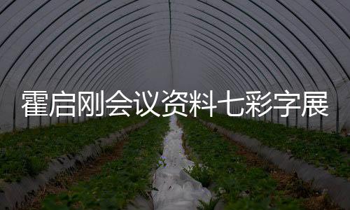 霍启刚会议资料七彩字展现，展现独特魅力与深度洞察