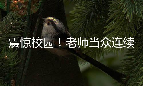 震惊校园！老师当众连续掌掴学生，当地回应紧急介入调查处理