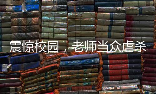 震惊校园，老师当众虐杀猫事件引发广泛关注