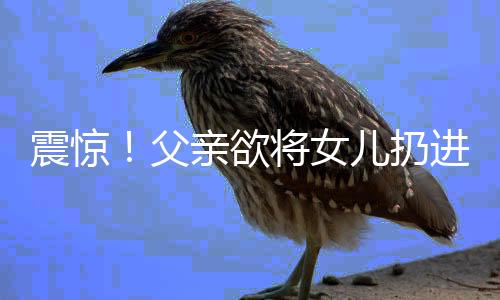 震惊！父亲欲将女儿扔进河里，社会各界紧急关注