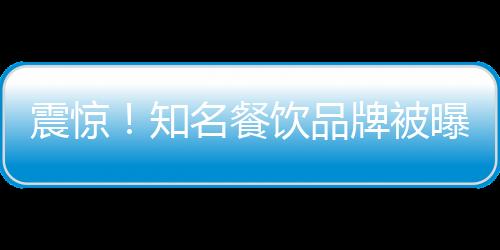 震惊！知名餐饮品牌被曝后厨惊现穿山甲——引发公众食品安全警钟长鸣