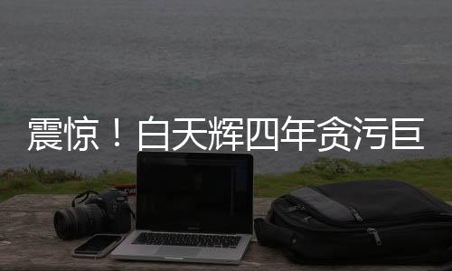 震惊！白天辉四年贪污巨额达11.08亿，揭开金融腐败的惊人内幕