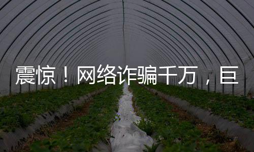 震惊！网络诈骗千万，巨额打赏700万背后的故事