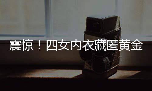 震惊！四女内衣藏匿黄金案揭秘，隐秘暗藏下的惊人内幕