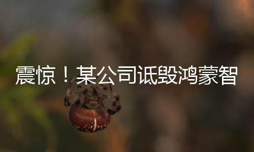 震惊！某公司诋毁鸿蒙智行，多人因涉嫌诽谤被捕