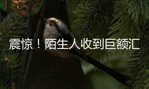 震惊！陌生人收到巨额汇款，金额高达1.7亿