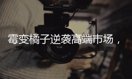 霉变橘子逆袭高端市场，二手平台惊现天价奇货现象揭秘