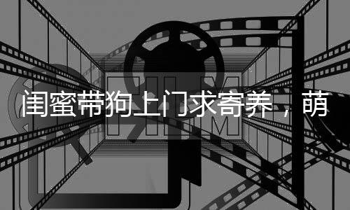 闺蜜带狗上门求寄养，萌宠娴熟融入新家