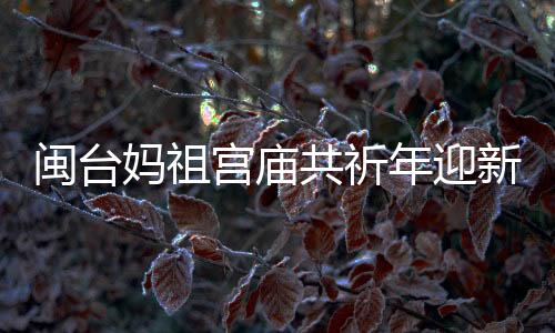 闽台妈祖宫庙共祈年迎新春