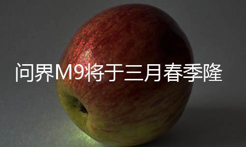 问界M9将于三月春季隆重上市，豪华轿车的新标杆（一二三四五六七八九十）
