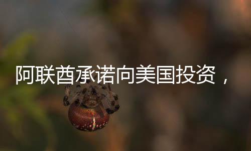 阿联酋承诺向美国投资，开启新的经济篇章