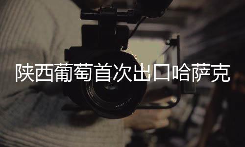 陕西葡萄首次出口哈萨克斯坦